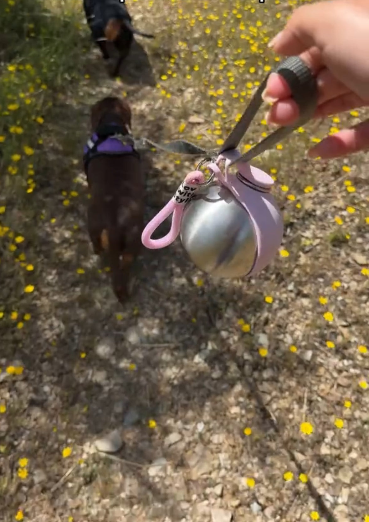 Sippaws Portable Dog Water Bottle